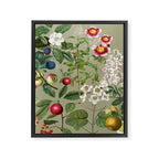 Sage Garden  Framed Canvas Print Gallery Image 6