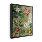 Sage Garden  Framed Canvas Print Gallery Image 2