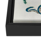 Seba Albertus Snakes With Plants  Framed Canvas Print Gallery Image 3