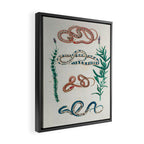 Seba Albertus Snakes With Plants  Framed Canvas Print Gallery Image 2