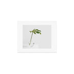 Single Monstera Leaf In Clear Glass Zen Minimalist House Plant Photo Art Print Gallery Image 1