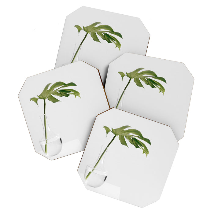 Single Monstera Leaf In Clear Glass Zen Minimalist House Plant Photo Coaster Gallery Image 1