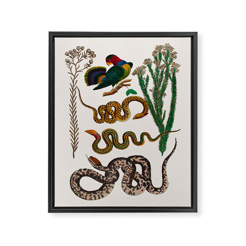 Snakes Birds Sunflower Art Print by Albertus Seba Framed Canvas Print Gallery Image 6