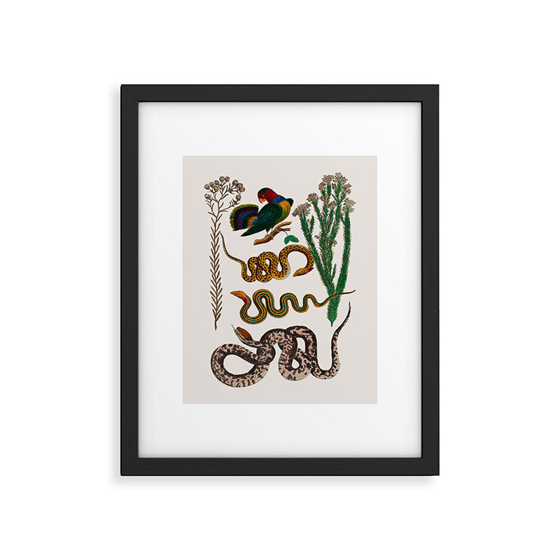 Snakes Birds Sunflower Art Print by Albertus Seba Framed Art Print Gallery Image 5
