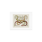 Snakes by Albertus Seba Art Print Gallery Image 1