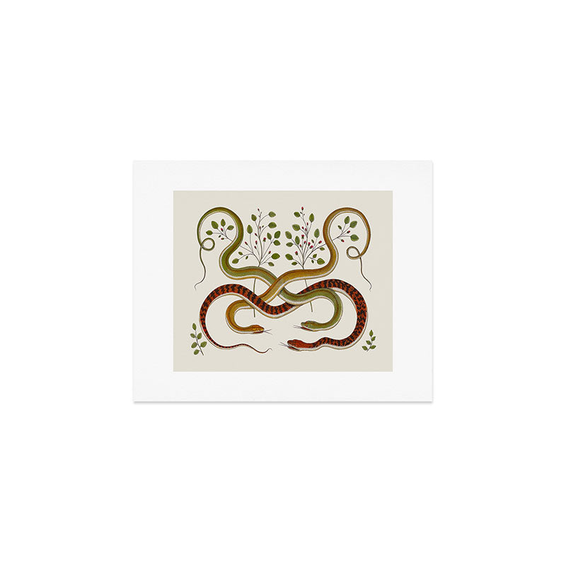 Snakes by Albertus Seba Art Print Gallery Image 1