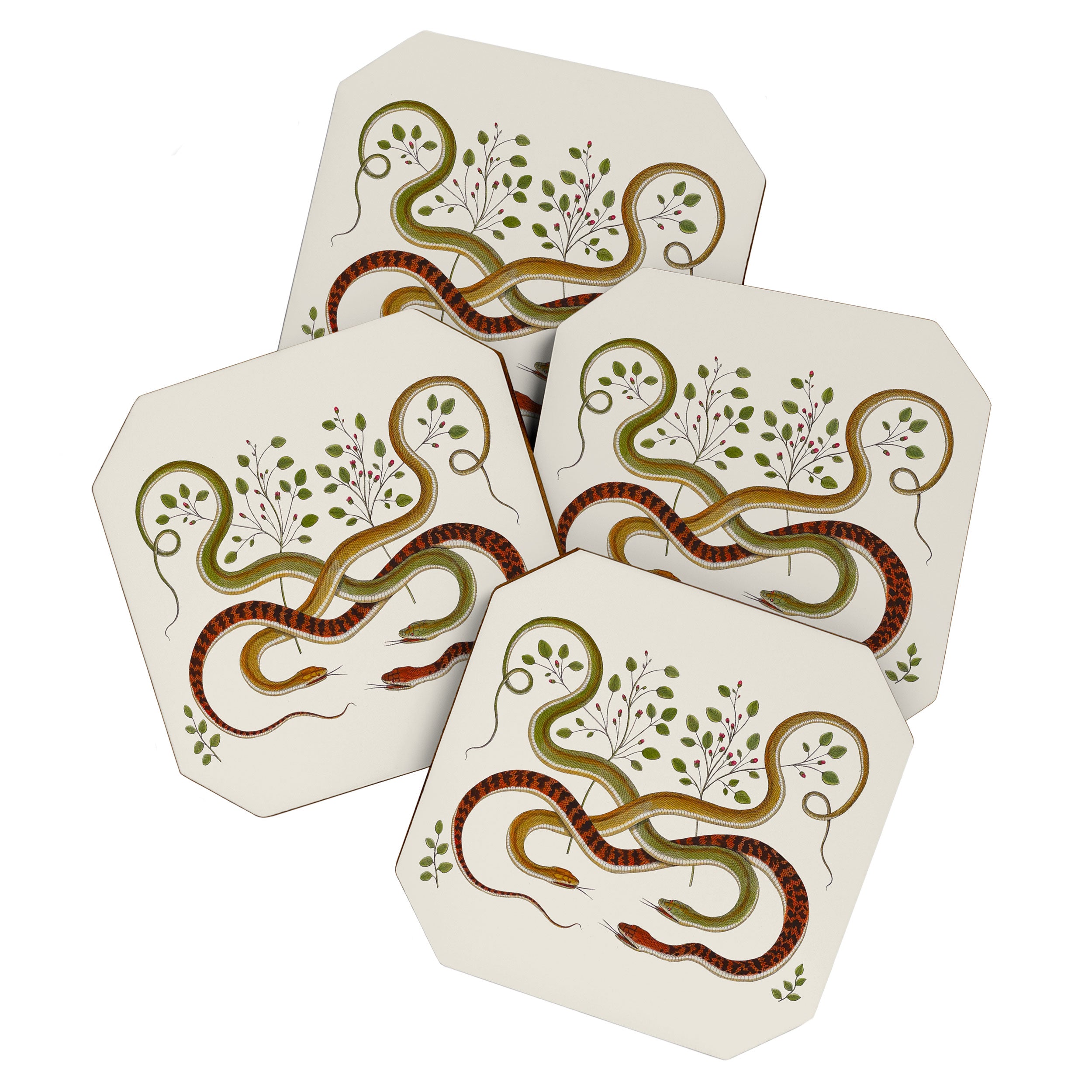 Snakes by Albertus Seba Coaster Gallery Image 1