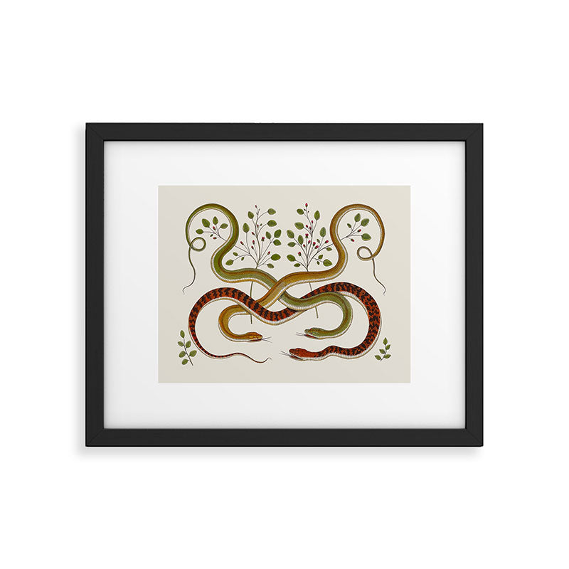 Snakes by Albertus Seba Framed Art Print Gallery Image 5