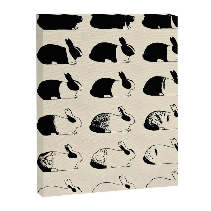 Studies of heredity in rabbits- William E.Castle - 1919 Cute Bunny Pattern Canvas Print Gallery Image 1