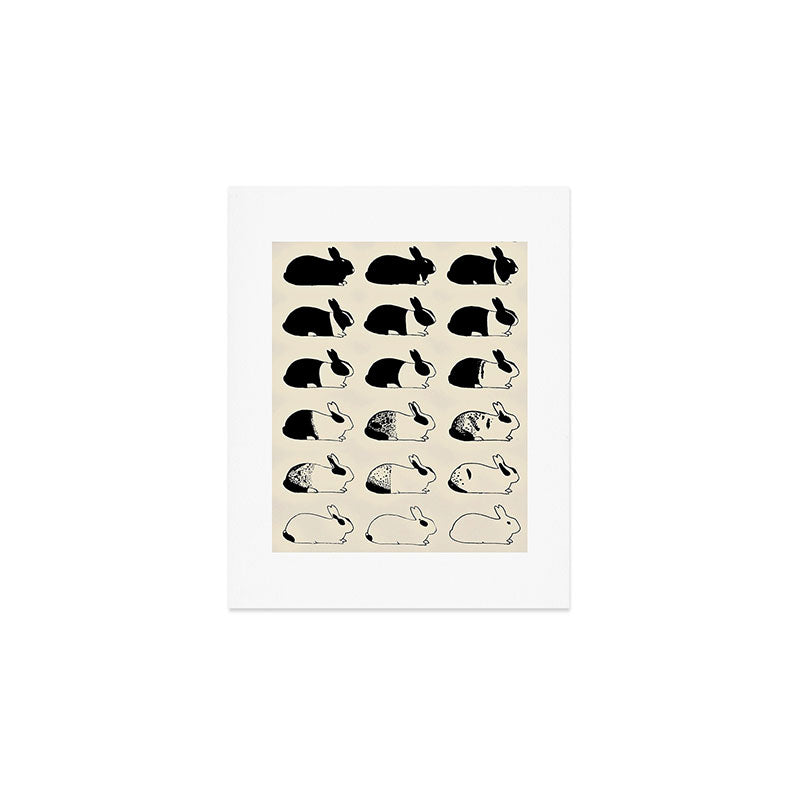 Studies of heredity in rabbits- William E.Castle - 1919 Cute Bunny Pattern Art Print Gallery Image 1