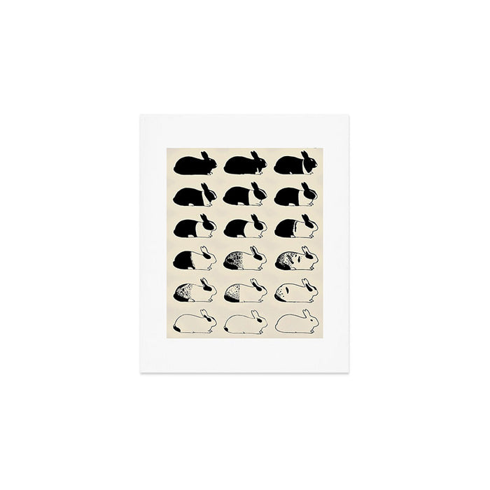 Studies of heredity in rabbits- William E.Castle - 1919 Cute Bunny Pattern Art Print Gallery Image 1