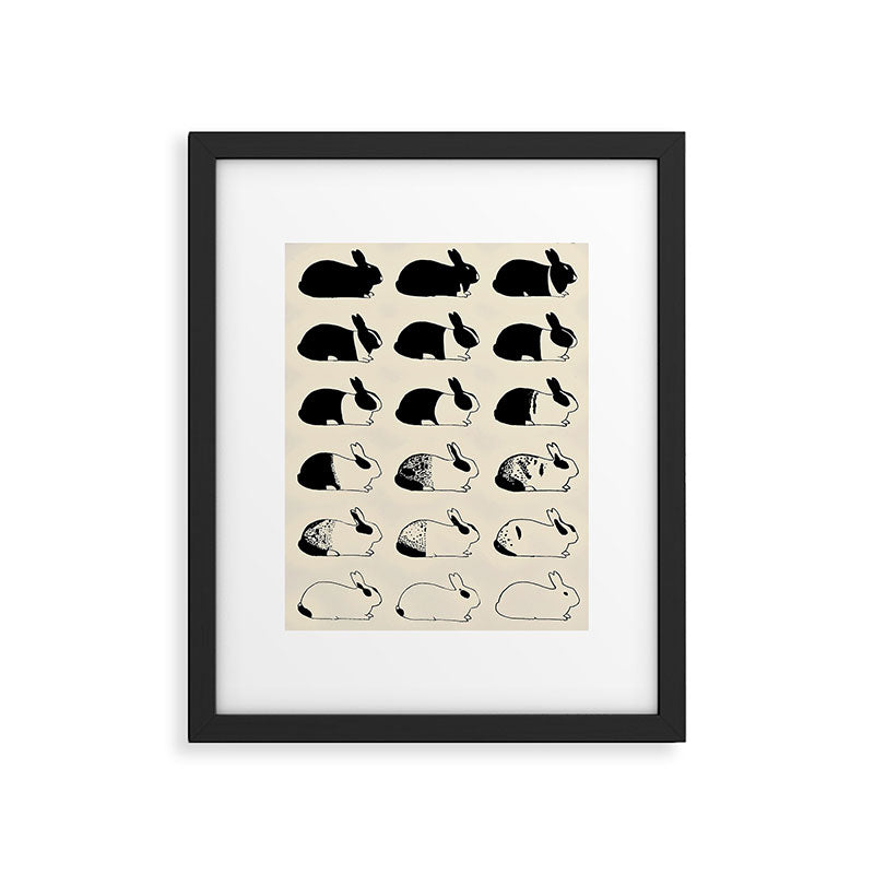 Studies of heredity in rabbits- William E.Castle - 1919 Cute Bunny Pattern Framed Art Print Gallery Image 5