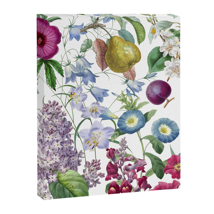 Summer Fruits Botanical Illustration Collage Canvas Print Gallery Image 1