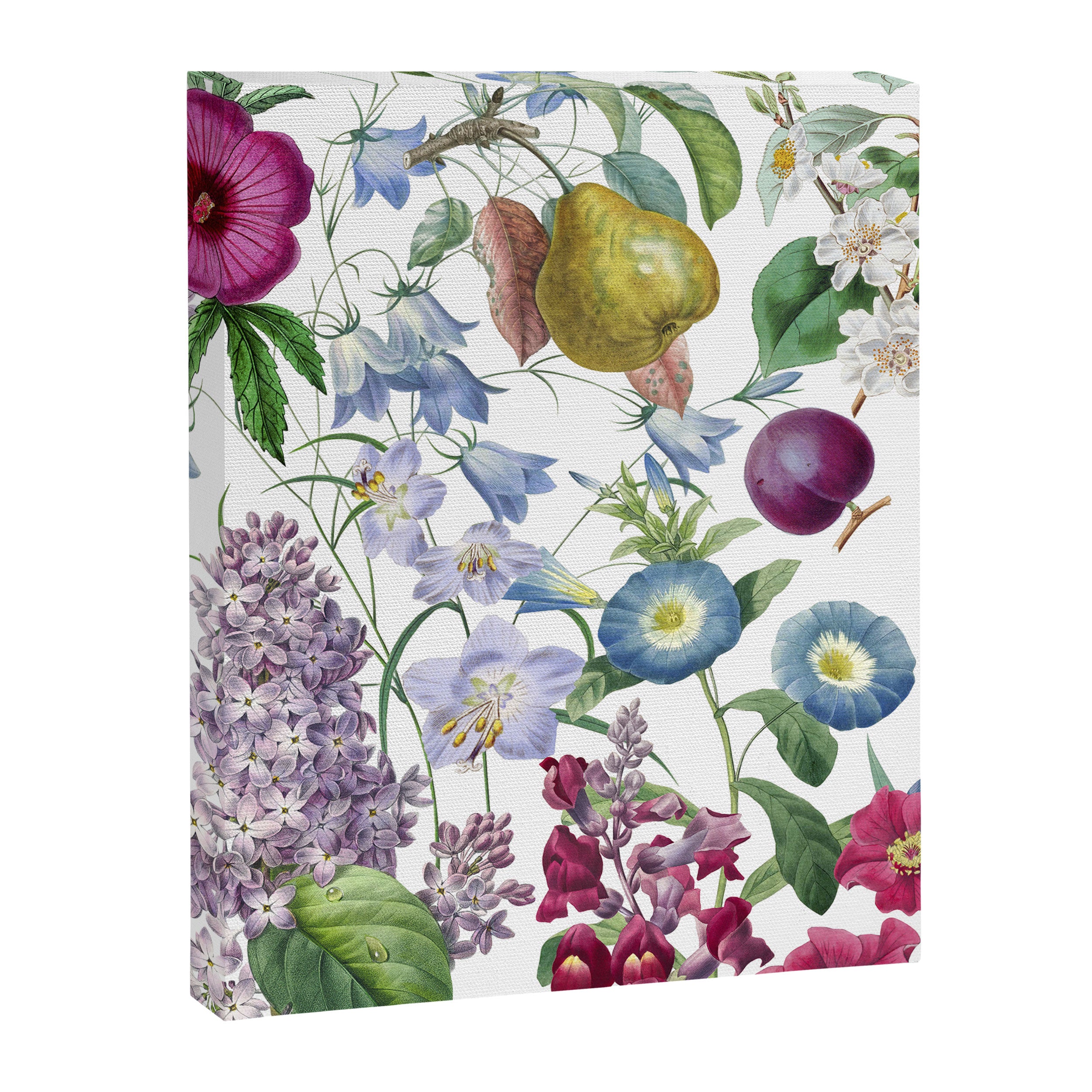 Summer Fruits Botanical Illustration Collage Canvas Print Gallery Image 6