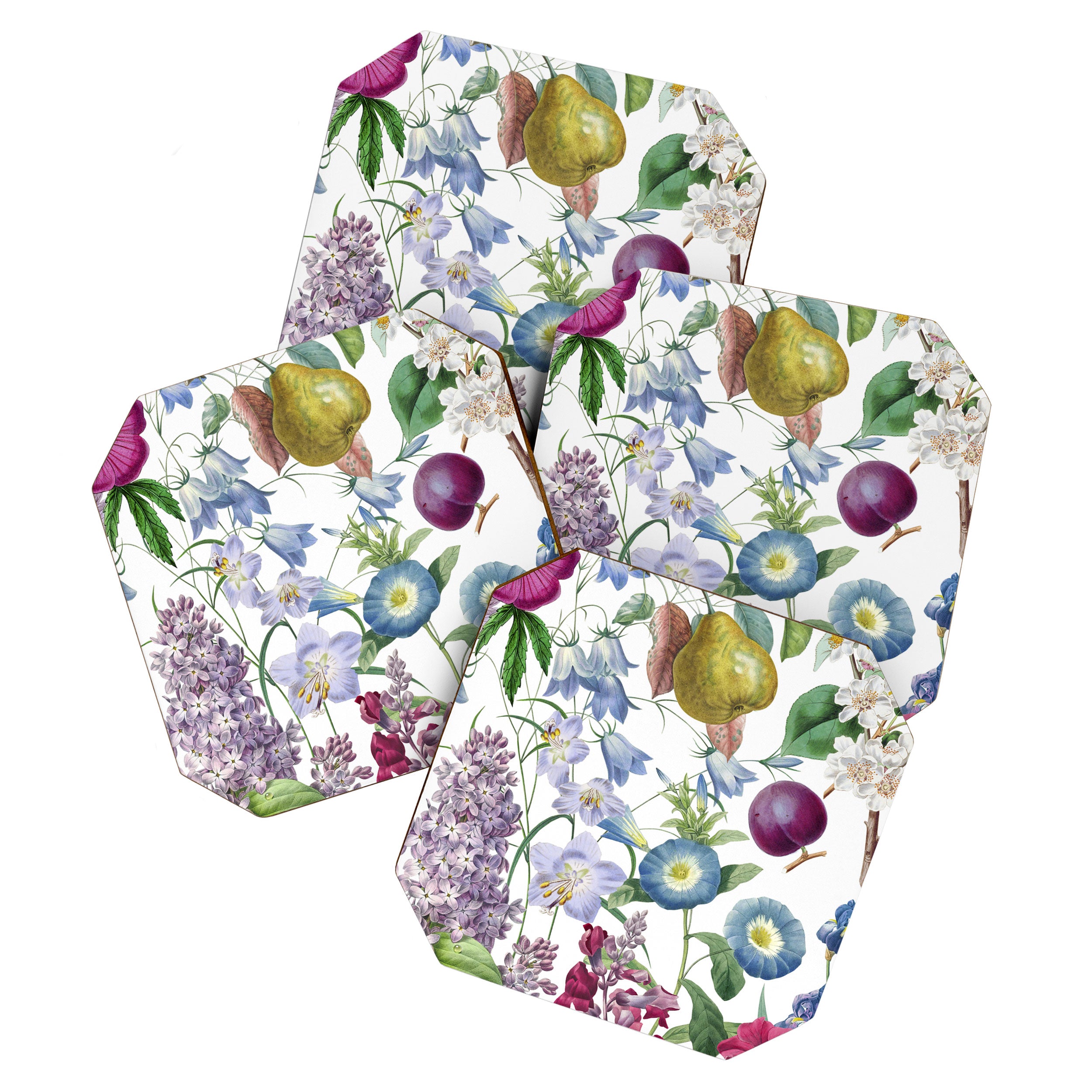 Summer Fruits Botanical Illustration Collage Coaster Gallery Image 1