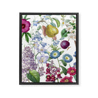Summer Fruits Botanical Illustration Collage Framed Canvas Print Gallery Image 6
