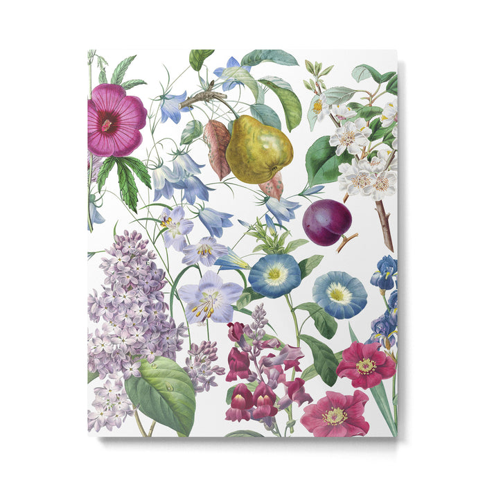 Summer Fruits Botanical Illustration Collage Metal Print Gallery Image 1