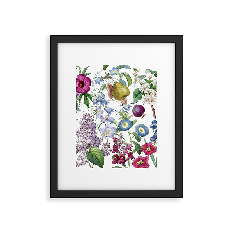 Summer Fruits Botanical Illustration Collage Framed Art Print Gallery Image 5
