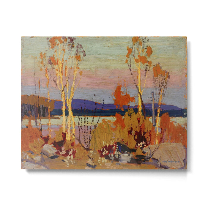 Tom Thomson Birches 1916 Canadian Landscape Artist Metal Print Gallery Image 1