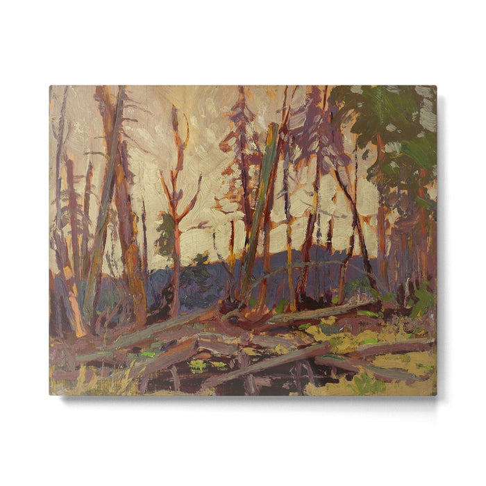 Tom Thomson Burnt Country, Evening 1914 Canadian Landscape Artist Metal Print Gallery Image 1