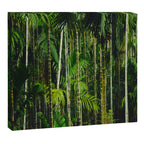 Tropical Bamboo Palm Forest Canvas Print Gallery Image 12