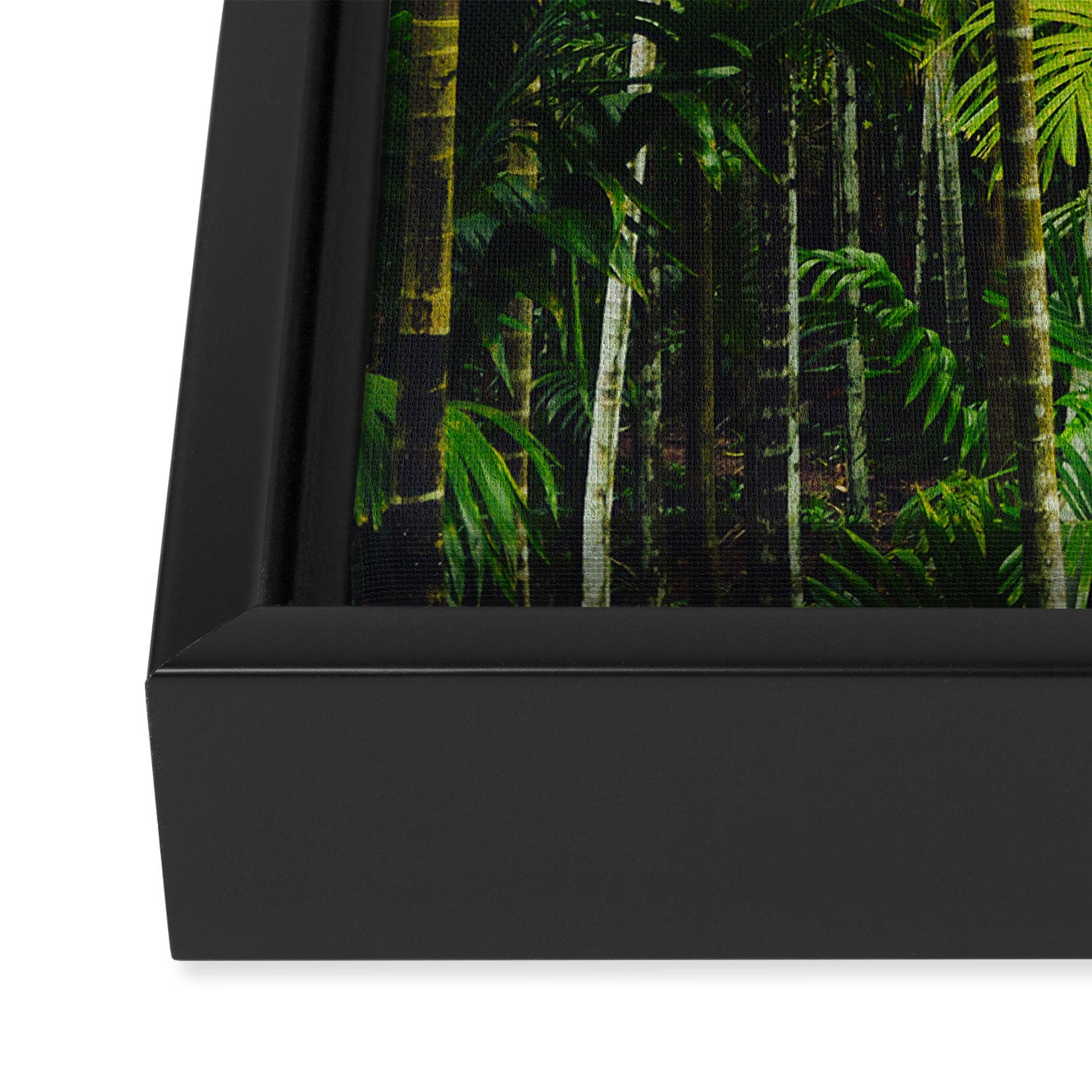 Tropical Bamboo Palm Forest Framed Canvas Print Gallery Image 3
