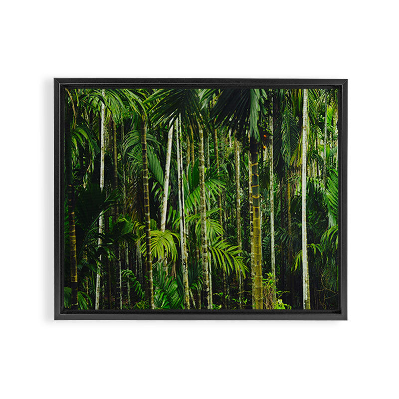 Tropical Bamboo Palm Forest Framed Canvas Print Gallery Image 2