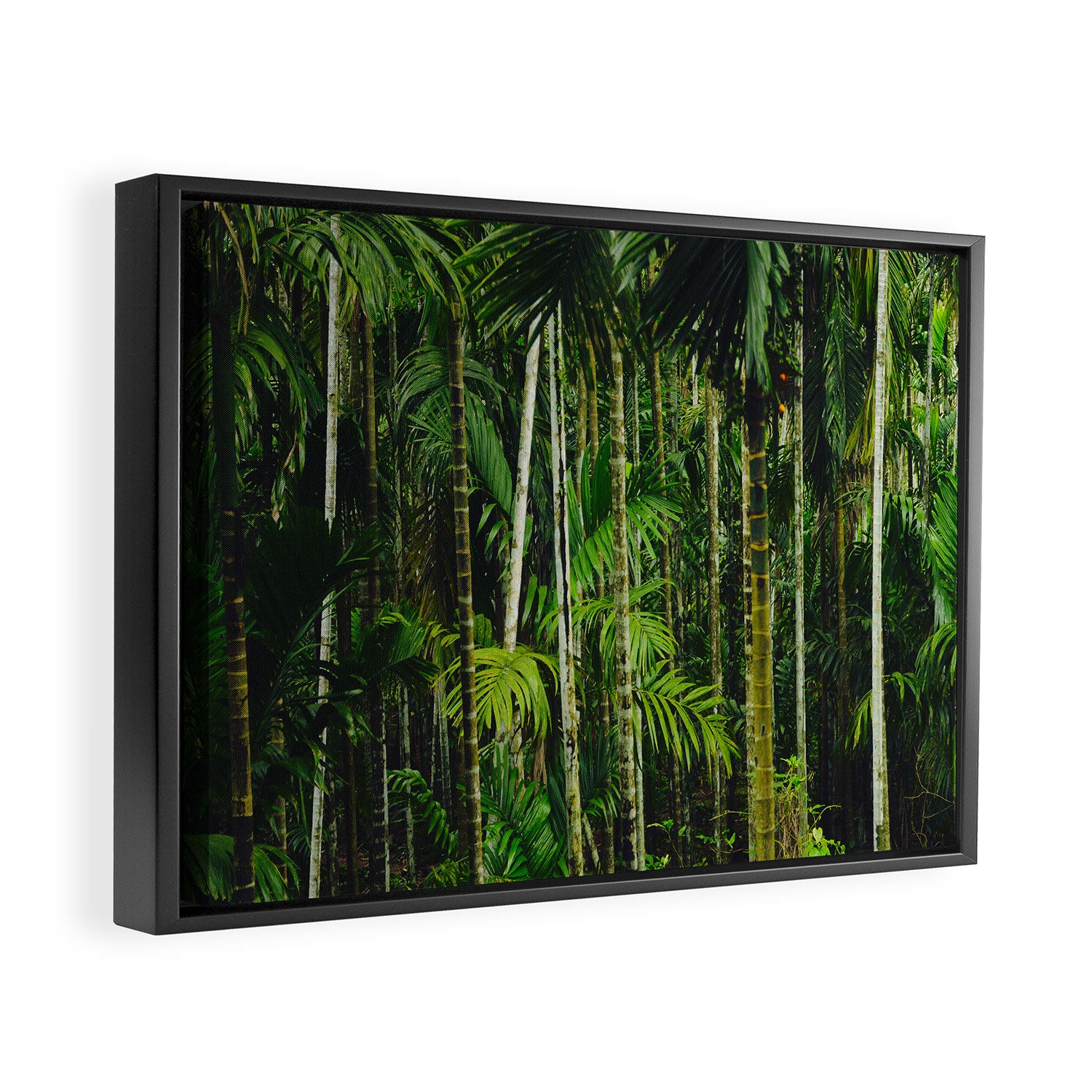 Tropical Bamboo Palm Forest Framed Canvas Print Gallery Image 6