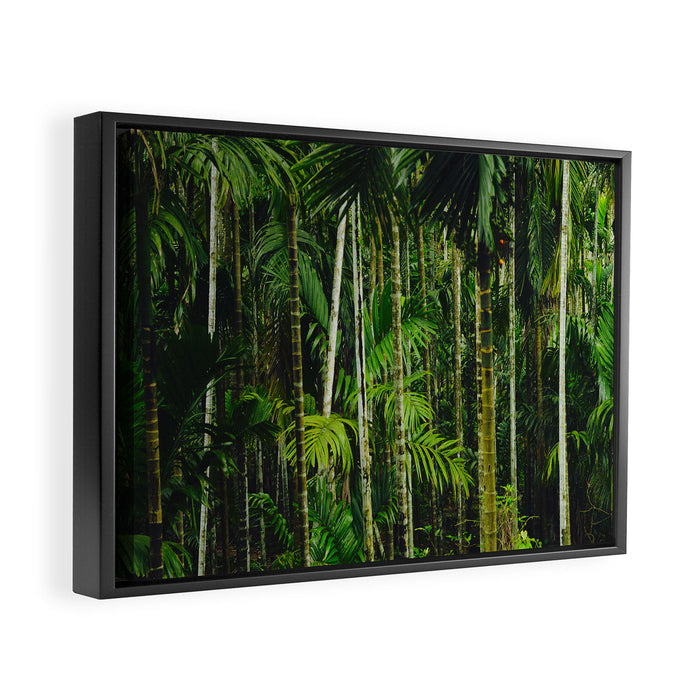 Tropical Bamboo Palm Forest Framed Canvas Print Gallery Image 1