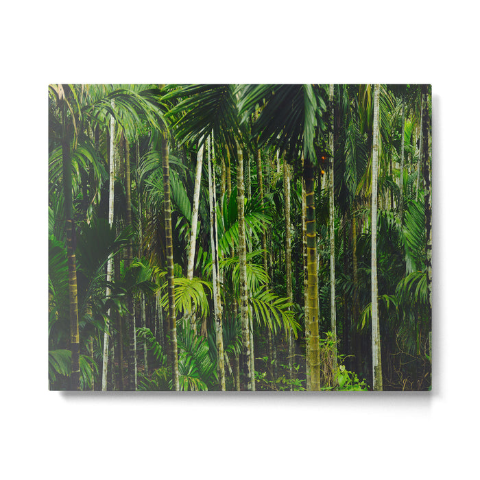 Tropical Bamboo Palm Forest Metal Print Gallery Image 1