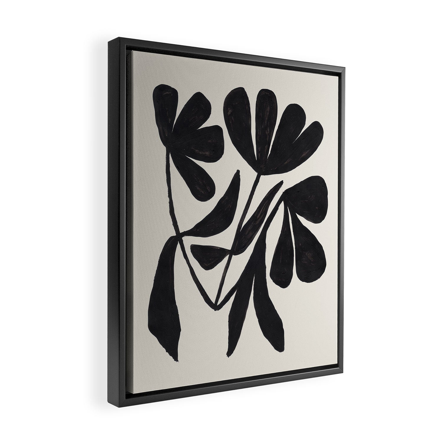Tulip Fossil  Framed Canvas Print Gallery Image 2