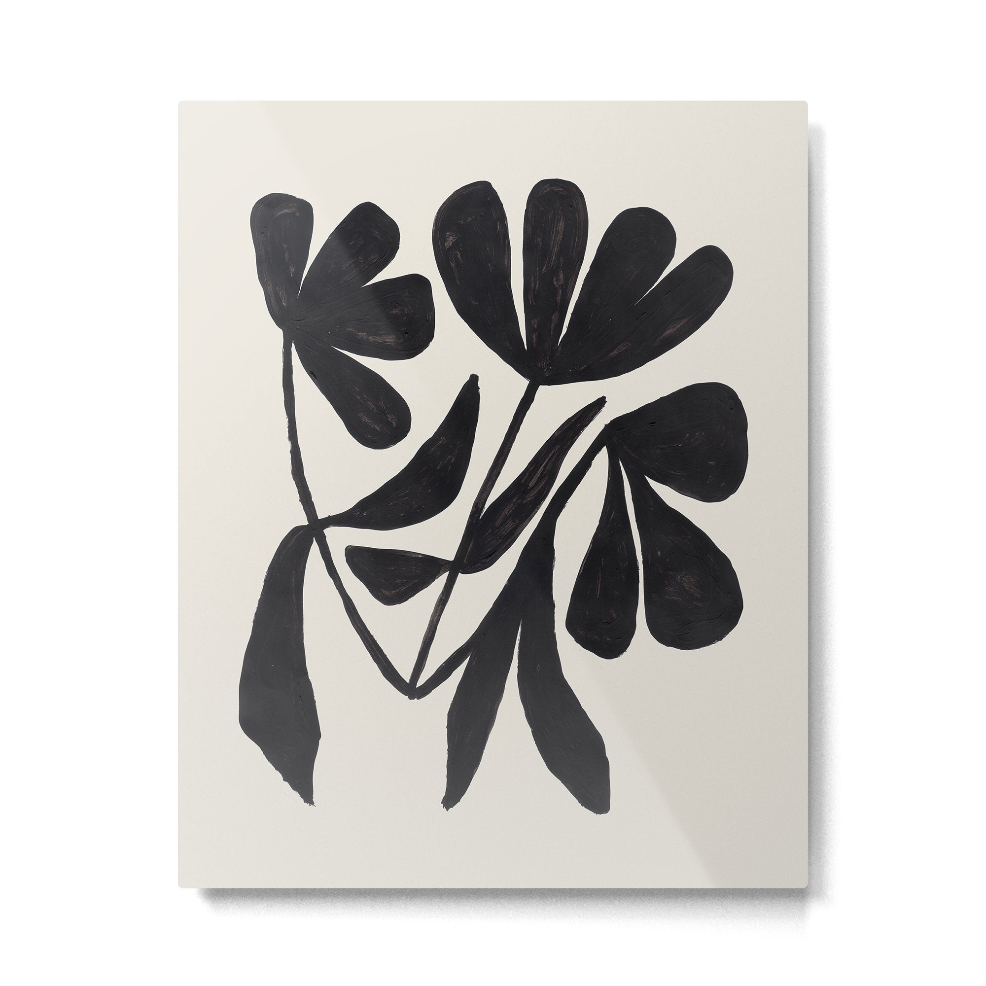 Tulip Fossil  Metal Print Gallery Image 4