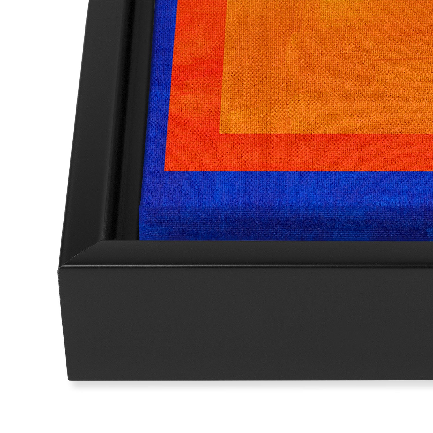 Ultramarine Blue Bloom Framed Canvas Print Gallery Image 3