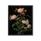 Vintage Botanical Illustration Beautiful Lush Roses Flowers Black Background Framed Canvas Print Gallery Image 8