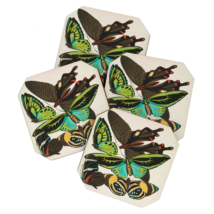 Vintage Butterfly Illustration EA Seguy Papillon Coaster Gallery Image 1