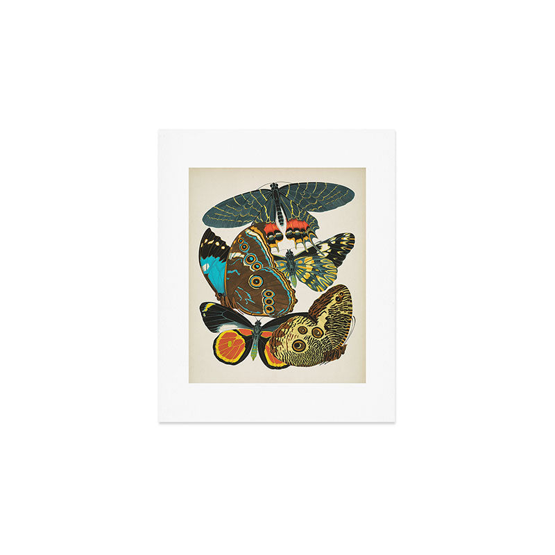 Vintage Butterfly Illustration EA Seguy Papillon Art Print Gallery Image 1