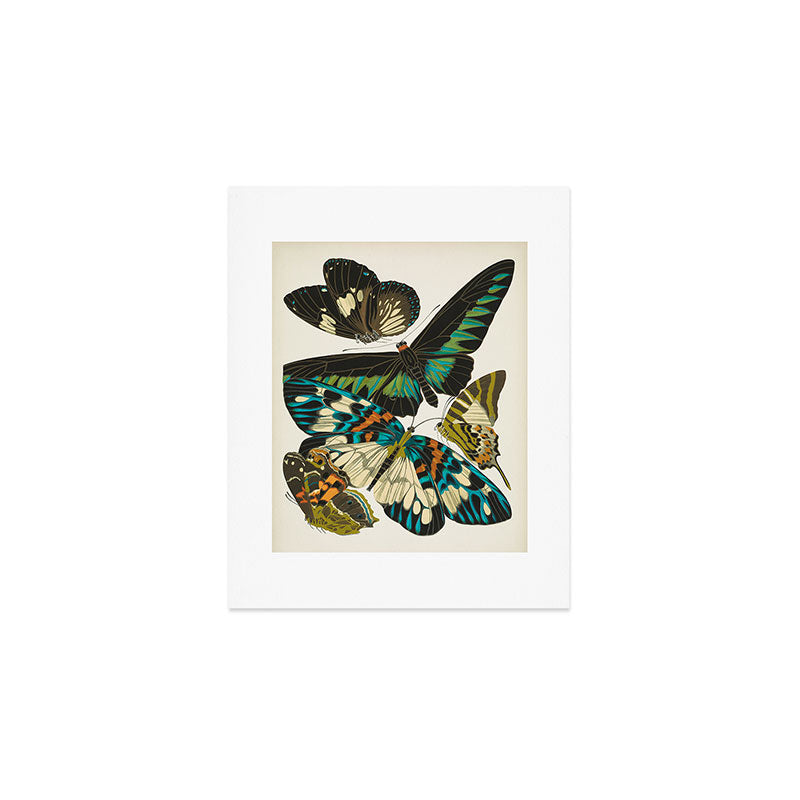 Vintage Butterfly Illustration EA Seguy Papillon Art Print Gallery Image 1