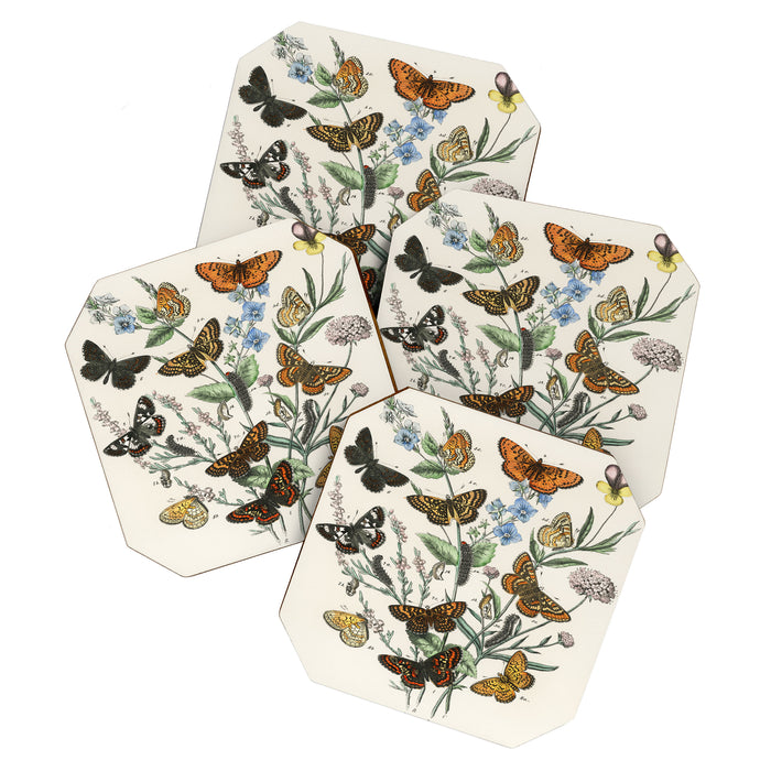 Vintage Scientific Illustration Butterfly Botanical Floral Lithograph Encyclopaedia Diagrams  Coaster Gallery Image 1