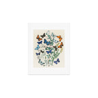 Vintage Scientific Illustration Butterfly Botanical Floral Lithograph Encyclopaedia Diagrams  Art Print Gallery Image 1