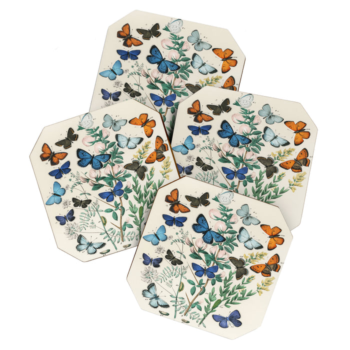 Vintage Scientific Illustration Butterfly Botanical Floral Lithograph Encyclopaedia Diagrams  Coaster Gallery Image 1