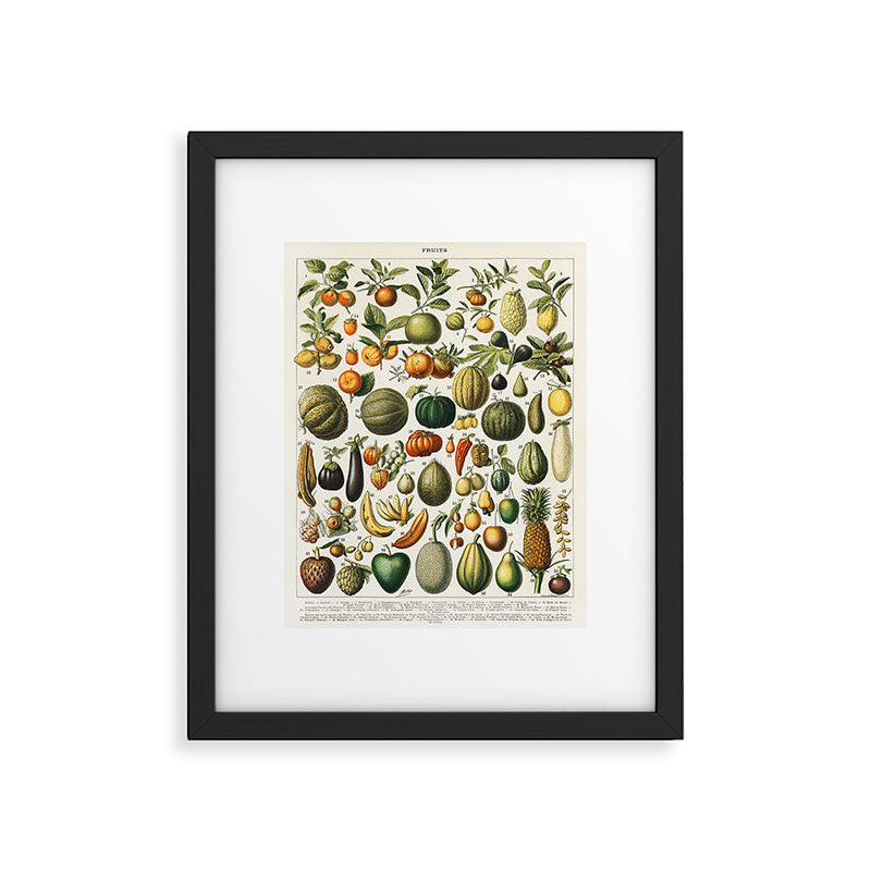 Vintage Scientific Illustration Fruits Botanical Floral Lithograph Encyclopaedia Diagrams  Framed Art Print Gallery Image 5