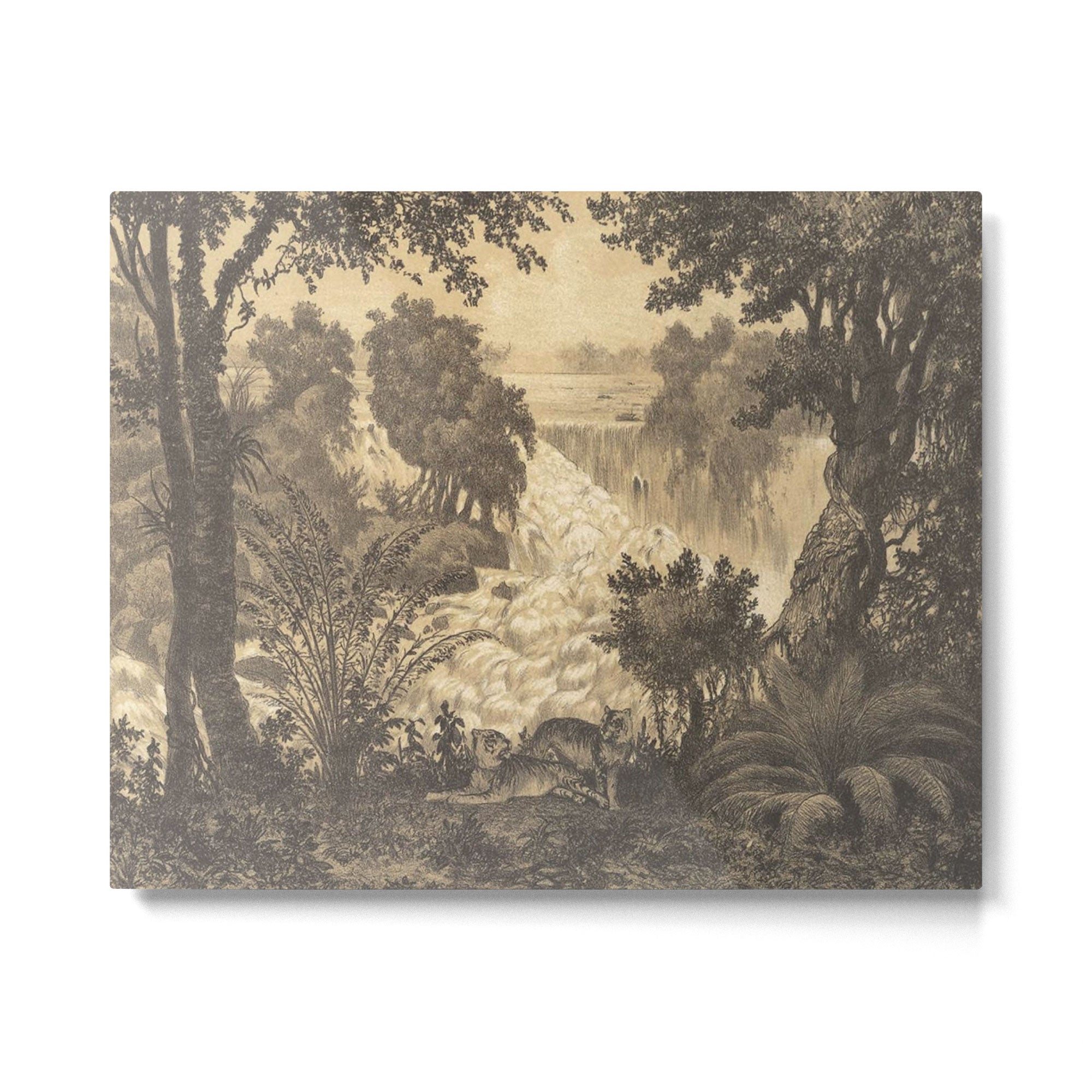 Voyage exploration en Indo-Chine-1873-Antique Landscape Tropical Jungle Tiger Metal Print Gallery Image 4
