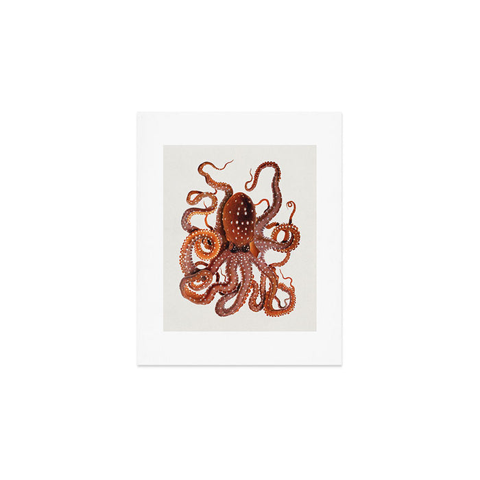 White Spotted Octopus Art Print Gallery Image 1