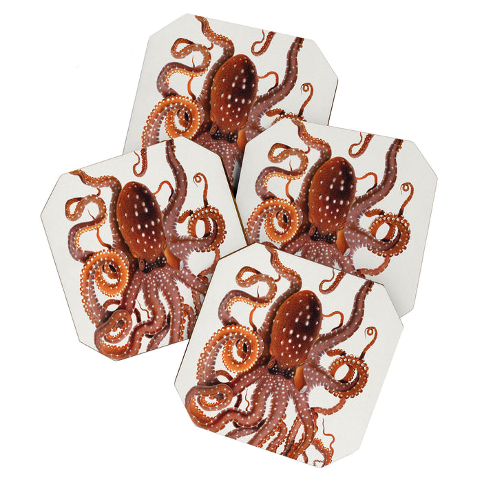 White Spotted Octopus Coaster Gallery Image 1