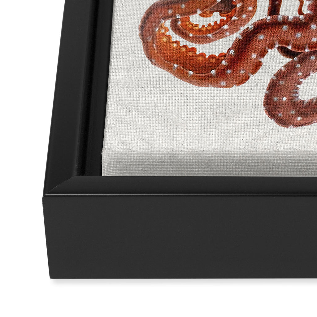 White Spotted Octopus Framed Canvas Print Gallery Image 3