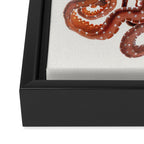 White Spotted Octopus Framed Canvas Print Gallery Image 3