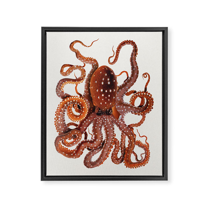 White Spotted Octopus Framed Canvas Print Gallery Image 1