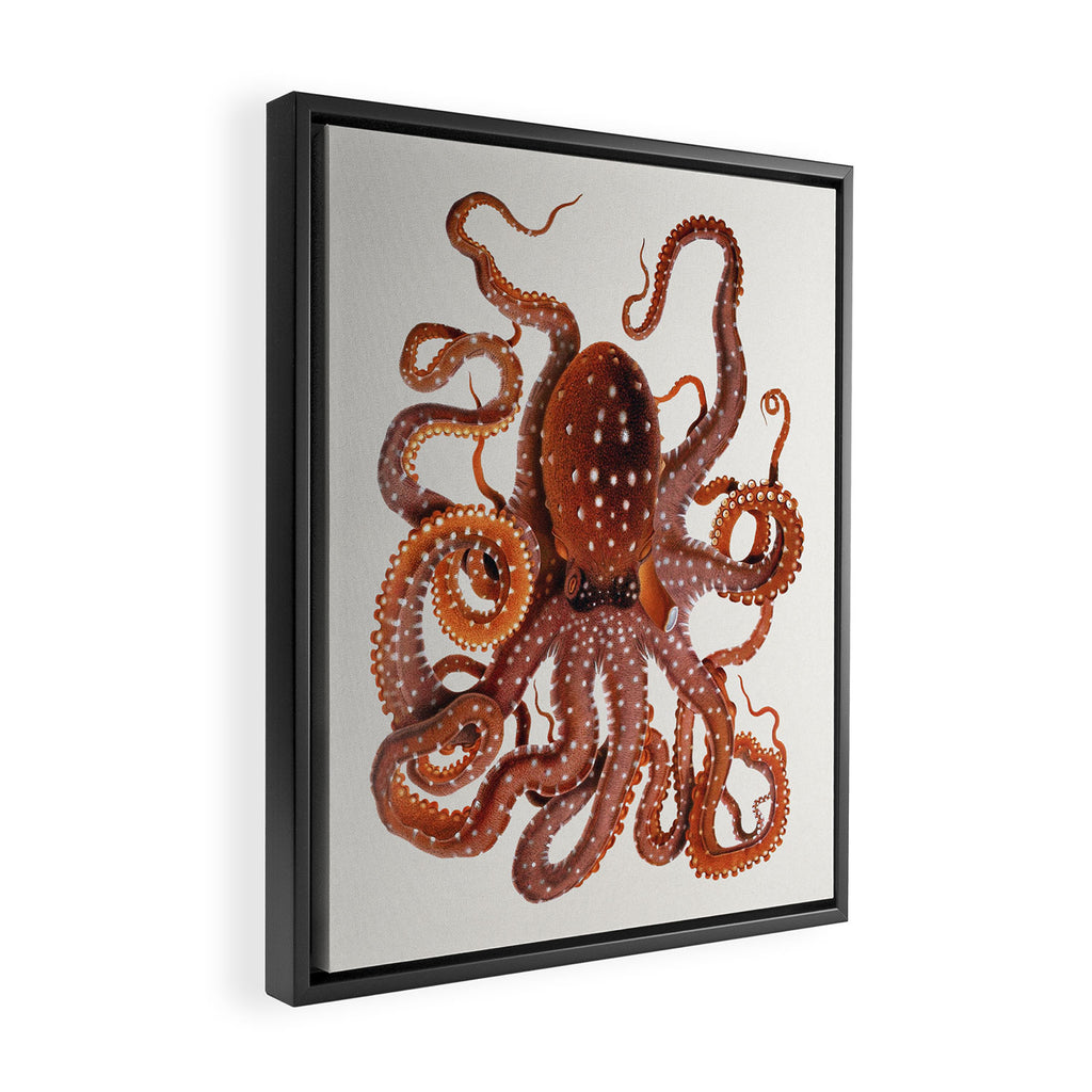 White Spotted Octopus Framed Canvas Print Gallery Image 2