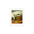 Whooping Crane Art Print Gallery Image 1