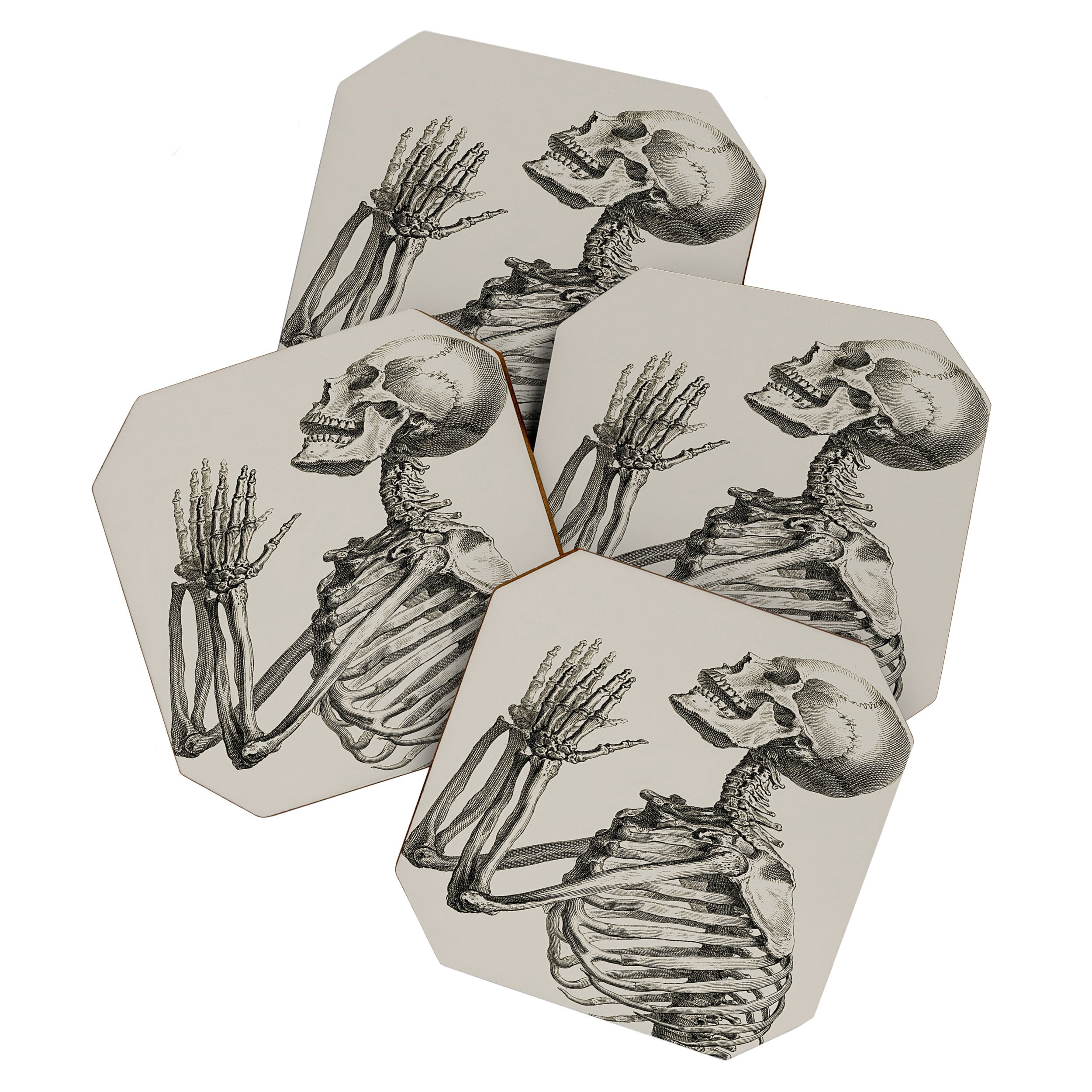 William Cheselden, Osteographia (The Anatomy of Bones), London, 1733 Praying Skeleton Coaster Gallery Image 1